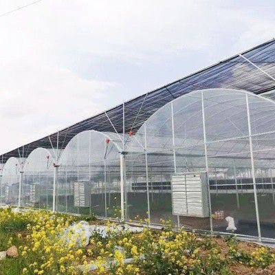 肥西外遮陽連棟大棚