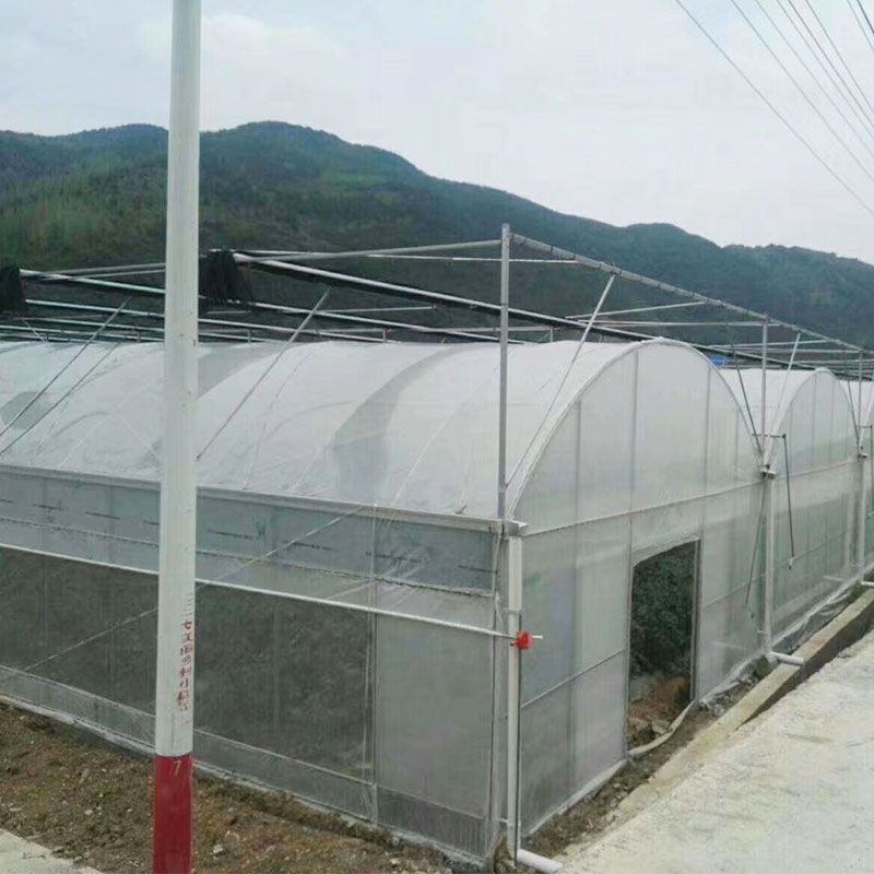 肥西外遮陽連棟大棚