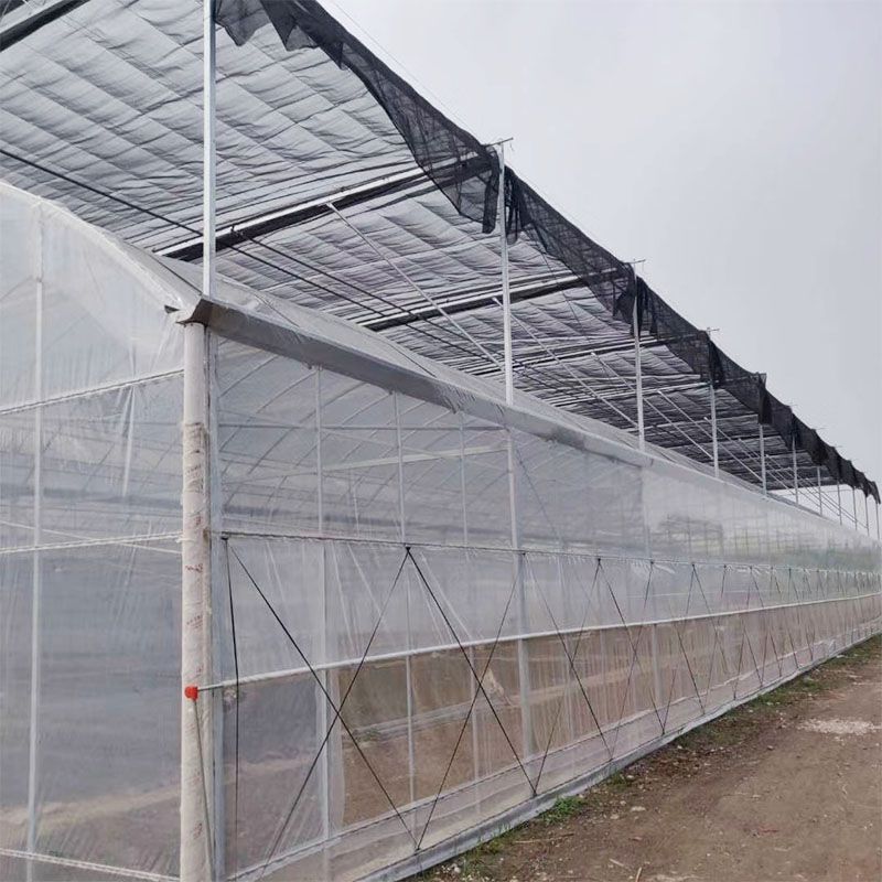 肥西外遮陽連棟大棚