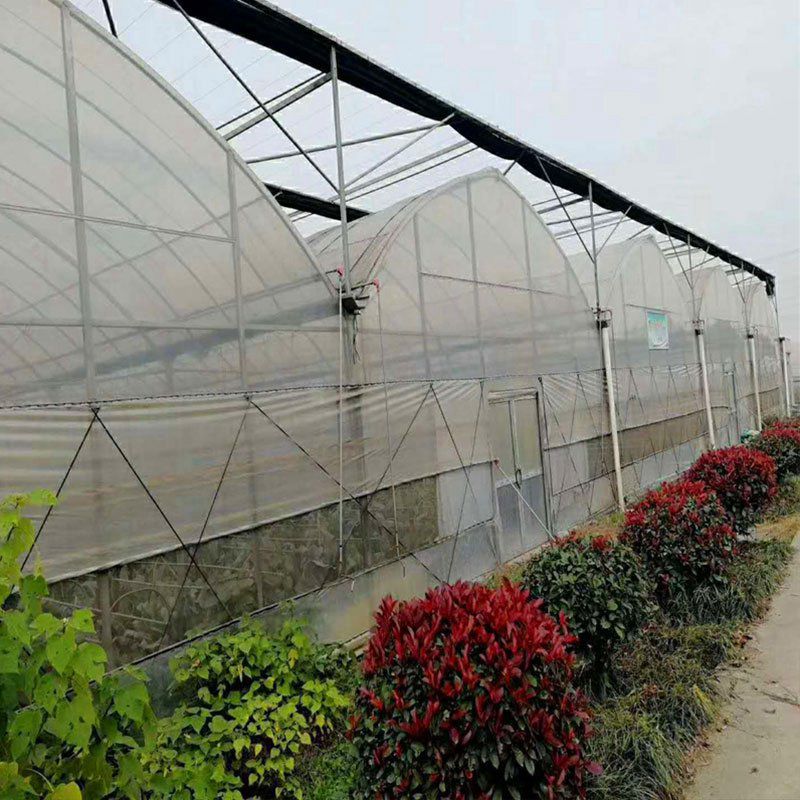 汾陽(yáng)溫室工程
