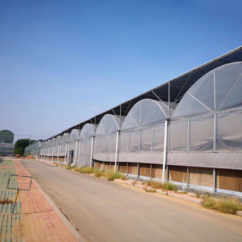 汾陽(yáng)溫室工程