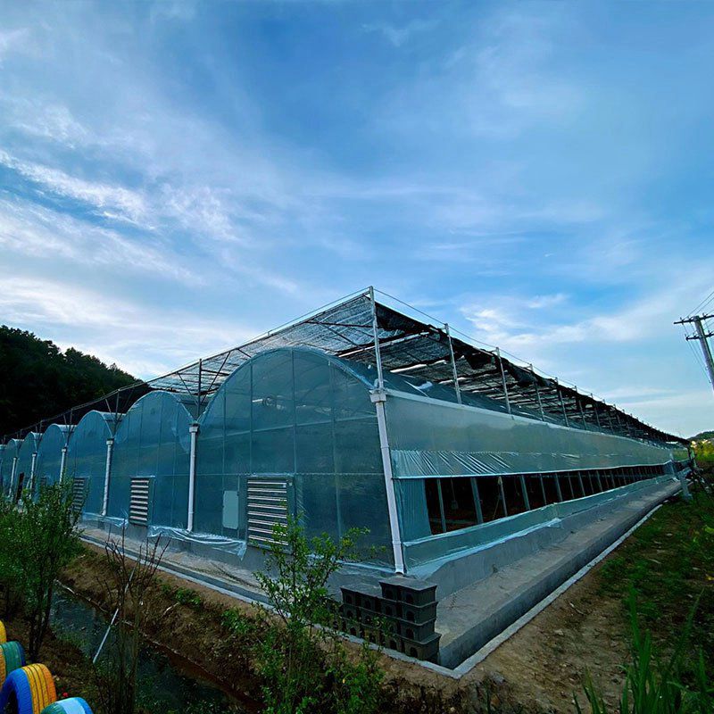 汾陽(yáng)溫室工程
