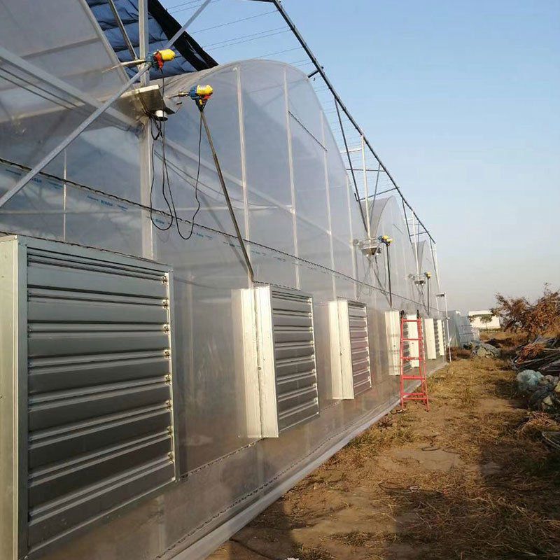 汾陽(yáng)溫室工程