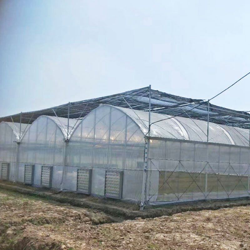 肥西外遮陽連棟大棚