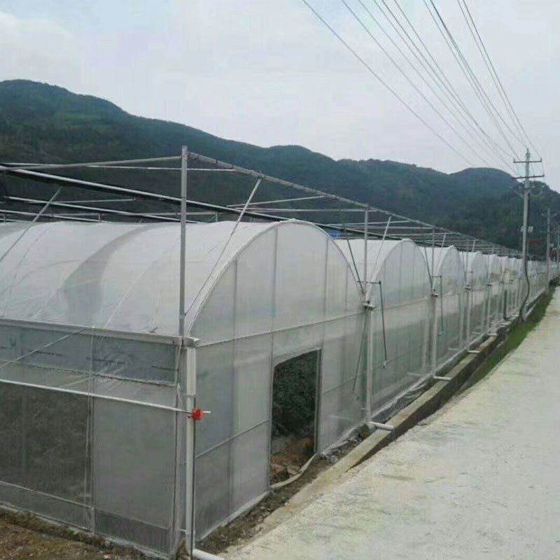 肥西外遮陽連棟大棚