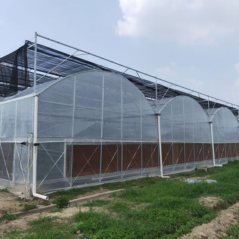 汾陽(yáng)溫室工程