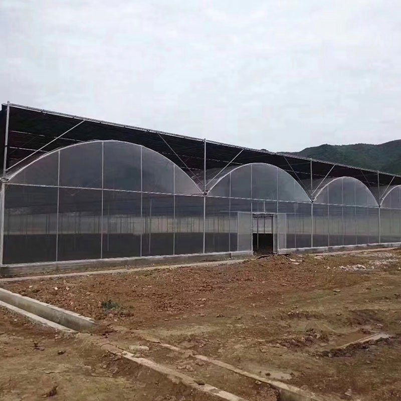 肥西外遮陽連棟大棚