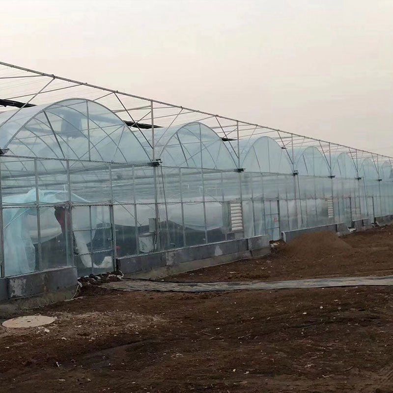 肥西外遮陽連棟大棚