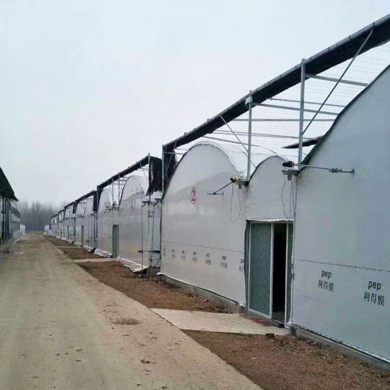 肥西外遮陽連棟大棚